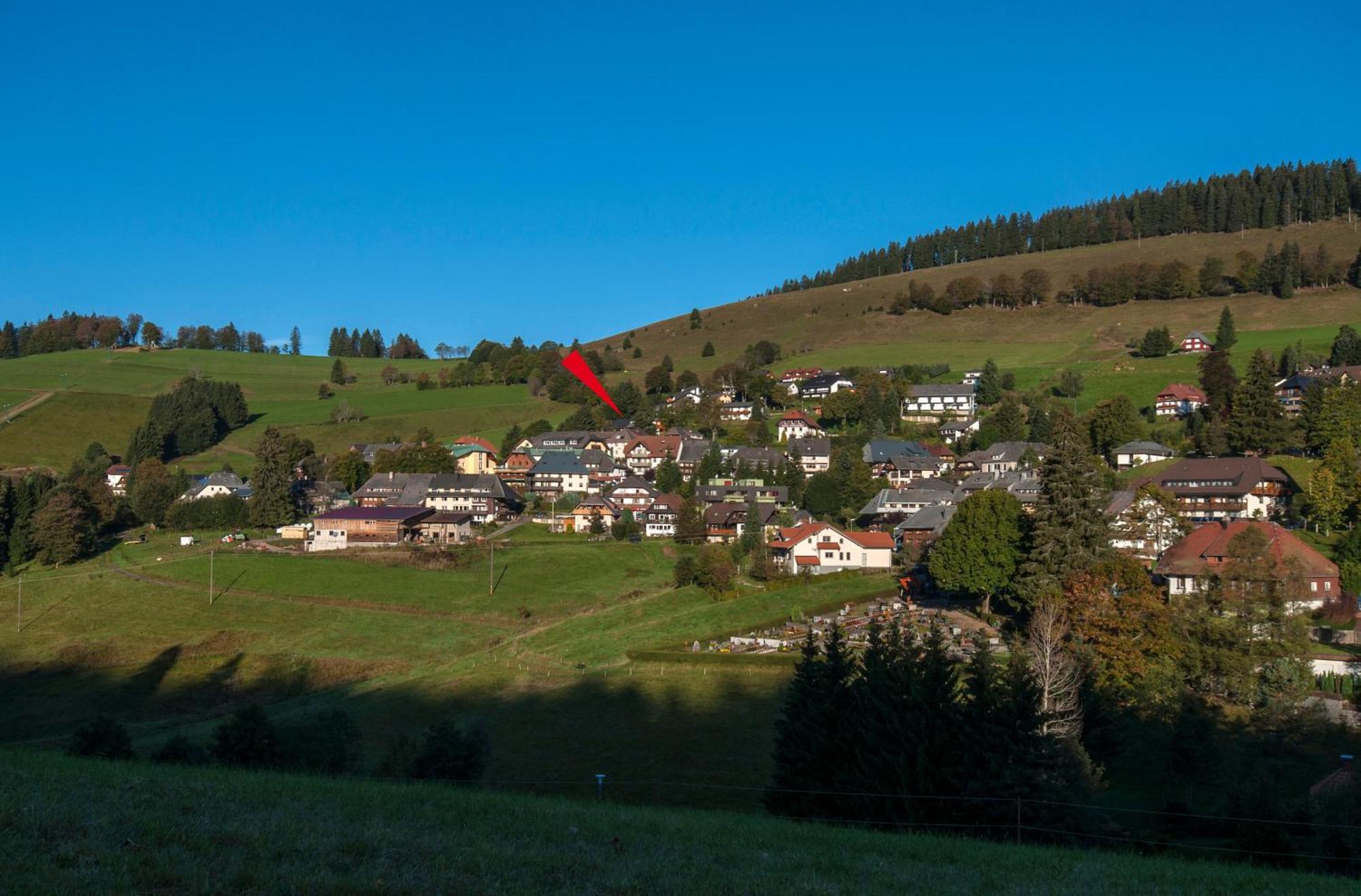 Apartment 06 - Ferienresidenz Roseneck, 2 Schlafzimmer, Mit Schwimmbad In Todtnauberg Bei Feldberg Exterior photo